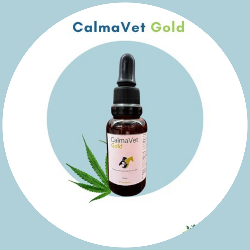 CalmaVet Gold 10% CBD (3.000 mg) Gotero 30 ml